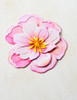 Memory Box Dies - Delightful Peony Blossom Memory Box Dies - Delightful Peony Blossom