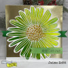 The Crafters Workshop 6x6 Stencils - Felicia Daisy
