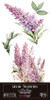 Papers For You 6x12in Decorative Transfers, 4/Pack - La Vie En Fleurs, Lilacs Papers For You 6x12in Decorative Transfers, 4/Pack - La Vie En Fleurs, Lilacs
