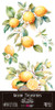 Papers For You 6x12in Decorative Transfers, 4/Pack - Fruit Market, Lemons