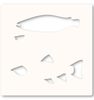 Memory Box Stencils - Freshwater Fish