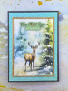 Paper Favourites A6/4.25x6in Paper Pack - Reindeer
