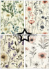Paper Favourites A5/6x8.25in Paper Pad - Wild Flowers #1