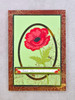 Hunkydory Crafts New For You Thursday 11-20-2025 5 Pack "I Want It All" Bundle #1 - Everlasting Poppies