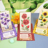 Hunkydory Crafts Floral Easel Reveal Concept Card Kit