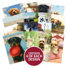 Hunkydory Crafts Pocket Pads - Dog Days
