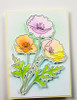 Memory Box Open Studio Clear Stamp and Die Set - Playful Poppies