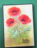 Memory Box Open Studio Stencil Set - Playful Poppies