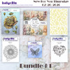 IndigoBlu New For You Thursday 02/26/2026 6 Pack Bundle #1 - Giant Rose
