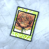 IndigoBlu New For You Thursday 02/26/2026 6 Pack Bundle #1 - Giant Rose