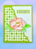 Marianne Design Make It Monday 03/09/2026 7 Pack "I Want It All" Bundle - Spring Time
