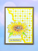Marianne Design Make It Monday 03/09/2026 7 Pack "I Want It All" Bundle - Spring Time
