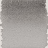 Royal Talens Pantone Cool Gray Marker Ink Bottle, 30ml - 5