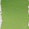 Royal Talens Pantone Green Yellow Marker Ink Bottle, 30ml - 375