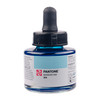 Royal Talens Pantone Blue Marker Ink Bottle, 30ml - 304