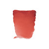 Royal Talens Rembrandt Watercolour 10ml - Quinacridone Red (364)