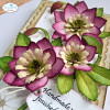 Elizabeth Craft Designs Dies - Lenten Rose