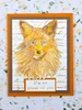 IndigoBlu Mixed Media Magazine Box Kit 11