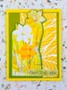 IndigoBlu Mixed Media Magazine Box Kit 11