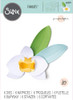 Sizzix Thinlits Die Set 6PK - Orchid