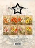 Paper Favourites YT#656 3 Pack "I Want It All" Bundle #4 - Lily