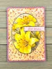 Find-It Trading Card Deco Essentials, Embossed Paper - Cream, Birdsong Swirl