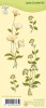 Leane Creatief Lea'bilities  Clear Stamps  - Flower Swirls