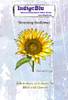 IndigoBlu YT#660 Cling Rubber Stamps 5 Pack "I Want It All" Bundle #2 - Nature & Blooms