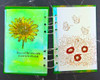 IndigoBlu YT#660 5 Pack "I Want It All" Bundle #1 - Woodology & Greyboard