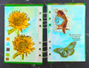 IndigoBlu YT#660 5 Pack "I Want It All" Bundle #1 - Woodology & Greyboard