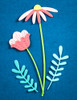 Memory Box PoppyStamps NFYT 06/11/2026 5 Pack "I Want It All" Bundle #3 - Nordic Florals
