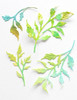 Memory Box Craft Dies - Wild Leaves