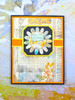 Hunkydory Crafts YT#661 Moonstone Mini Straight Edged Nesting Dies 4 Pack "I Want It All" Bundle