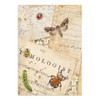 Stamperia 5.8x8.3in Printed Art Junk Journal - All Around