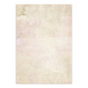 Stamperia 8.3x11.7in Printed Art Junk Journal - House Of Roses
