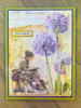 Stamperia 8.3x11.7in Printed Art Junk Journal - All Around