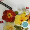 Craft Consortium YT#662 8 Pack "I Want It All" 3D Decoupage Stickers Embellishment Bundle - Florals