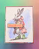 IndigoBlu NFYT 06252026 5 Pack "I Want It All" Bundle #2 - Alice In Wonderland, Cling Rubber Stamps