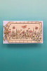 Craft Consortium NFYT 07/022/2026 3 Pack "I Want It All" Bundle #3 - Vintage Summer Clear Stamps