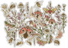 Craft Consortium Ephemera Set - Vintage Summer