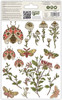 Craft Consortium Premium Rub-on Transfers Set - Vintage Summer