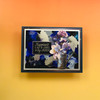 Paper Favourites Die Cuts, 21pcs - Charming Garden Blooms