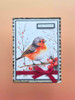 Paper Favourites 6x6in Paper Pad - Christmas Birds