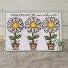 Creative Expressions Make It Monday 07/20/2026 6 Pack Bundle - Happy Home