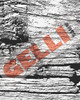 Gelli Arts 8x10in Image Transfer Pack 30/PK - Found Textures