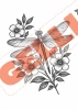 Gelli Arts 5x7in Image Transfer Pack 20/PK - Flora & Flight