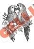 Gelli Arts 5x7in Image Transfer Pack 20/PK - Flora & Flight