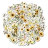 Uniquely Creative Vellum Creative Cuts - Sweet As Honey
