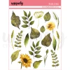 Uniquely Creative Rub-Ons - Nature