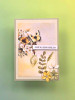 Uniquely Creative 12x12in Coordinating Cardstock Bundle - Sweet As Honey